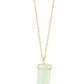 Elongated single horn pendant necklace