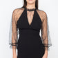 Pearl Trim Mesh Bodycon Dress